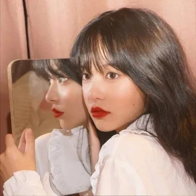 一条安达鲁狗