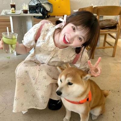 甄嬛传
